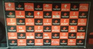 Painel Backdrop sem Estrutura 3x2m