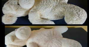 Limpeza e Higienização de Urso de Pelúcia