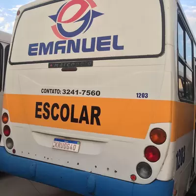 Adesivos frota escolar
