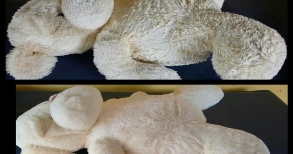 Limpeza e Higienização de Urso de Pelúcia